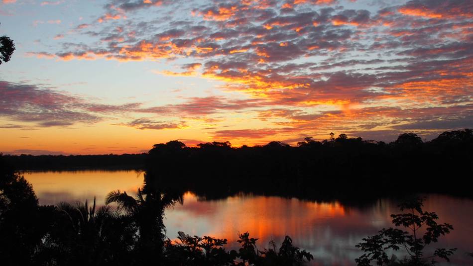 Sunset over the Amazon Rainforest | Lindsey Van Loon