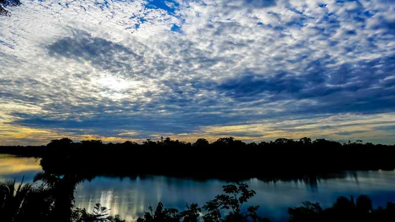 Beautiful scenes across a jungle lagoon | Lindsey Van Loon