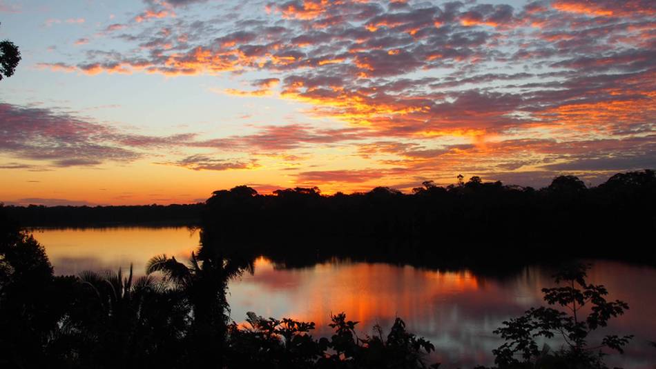 Sunset over the Amazon Rainforest | Lindsey Van Loon