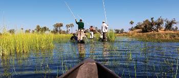 Cruising the Okavango Delta | Peter Walton