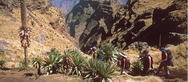The highlands of Ethiopia offer stunning views of deep gorges and dramatic escarpments | Chris Buykx