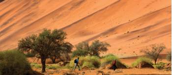 The phenomenal colours of the sand dunes in Sossusvlei, Namibia.  | Peter Walton