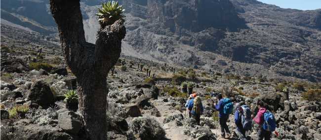 Exploring around Barranco Wall | Kyle Super