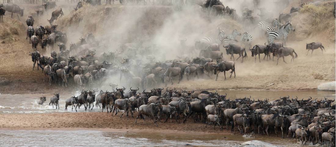 The Great Wildebeest Migration Safari | World Expeditions