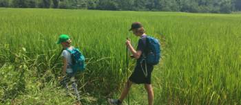 Kids walking through rice paddy fields in Laos | Kate Harper