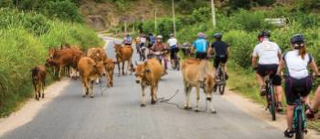 Cycling in Vietnam | Richard I'Anson
