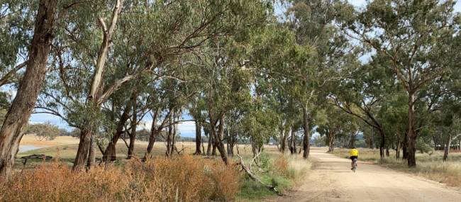 A quiet unpaved route between Mendooran and Dunedoo | Michele Eckersley