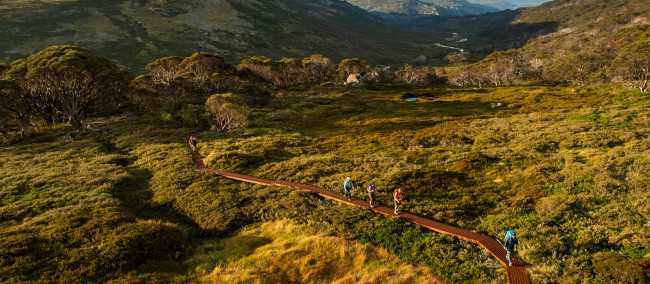 The Snowies Alpine Walk winding through high country terrain | Lachlan Gardiner