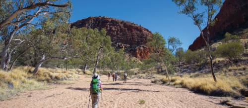 Larapinta trail shop walking tours