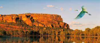 Experience the stunning natural beauty of Kakadu National Park | Peter Walton