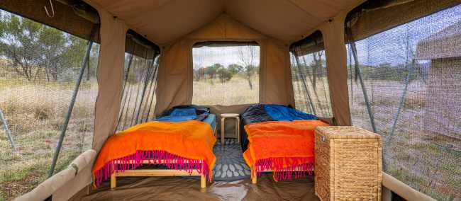 Enjoy raised beds at our Larapinta Eco-Comfort Camps | Lachlan Gardiner