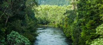 The Franklin River cuts through the south-west Tasmanian wildernerss | Glenn Walker