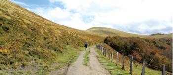 Walking the stunning Camino Trail towards Roncesvalles | Scott Kirchner