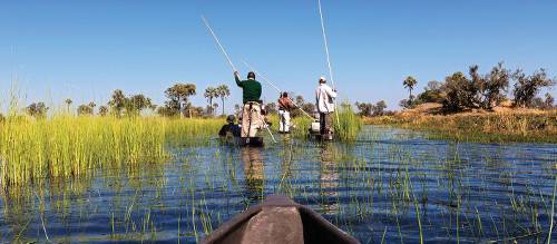 Adventure Tours in Botswana: Epic African Journeys for Canadian Travellers - Planning Your Adventure Trip to Botswana
