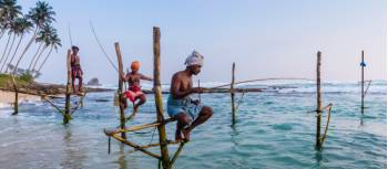 The famous Stilt fisherman of Sri Lanka | Richard I'Anson