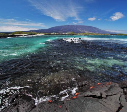 tourhub | World Expeditions | Galapagos Islands: Volcanic Wonders aboard Origin, Theory & Evolve 