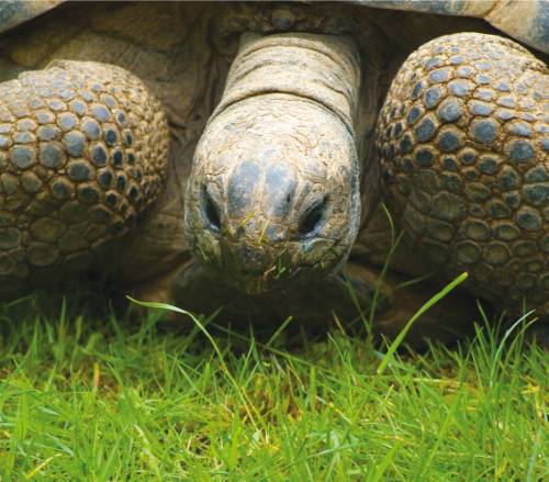 tourhub | World Expeditions | Galapagos Islands: Volcanic Wonders aboard Origin, Theory & Evolve 