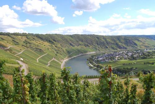 tourhub | UTracks | Moselle Bike Path 