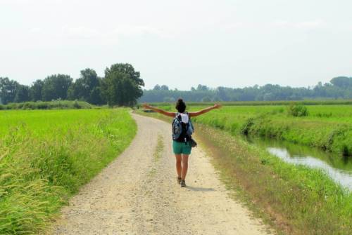 tourhub | UTracks | Via Francigena: Ivrea to Pavia 