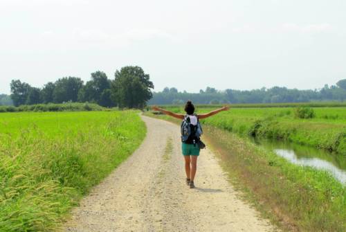 tourhub | UTracks | Via Francigena: Pavia to Fidenza 