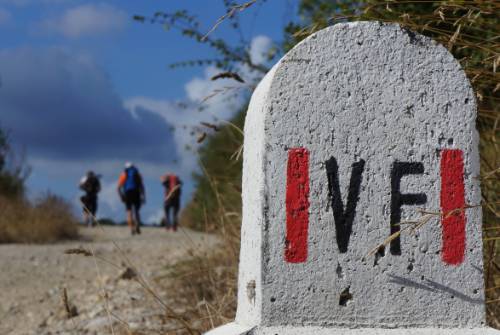 tourhub | UTracks | Via Francigena: Pavia to Fidenza 