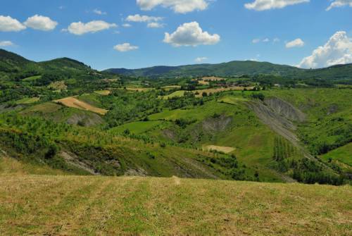 tourhub | UTracks | Via Francigena: Pavia to Fidenza 