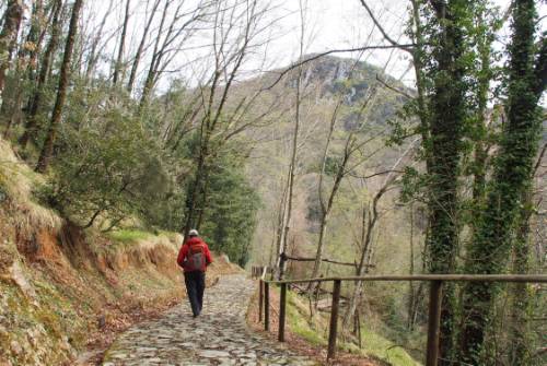 tourhub | UTracks | Via Francigena: Pontremoli to Lucca 