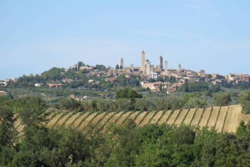 tourhub | UTracks | Via Francigena: Lucca to Siena 