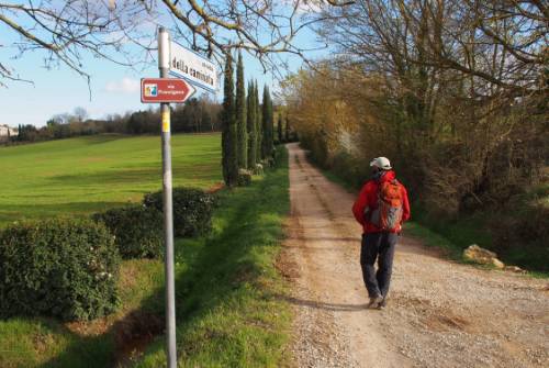 tourhub | UTracks | Via Francigena: Lucca to Siena 