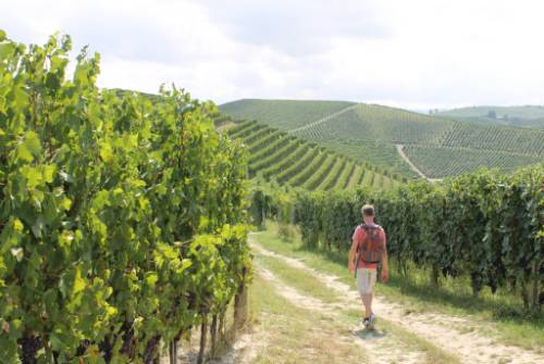 tourhub | UTracks | Piedmont: Land of Barolo and Barbera 