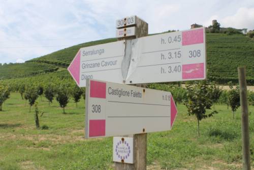 tourhub | UTracks | Piedmont: Land of Barolo and Barbera 