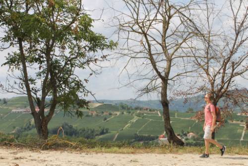 tourhub | UTracks | Piedmont: Land of Barolo and Barbera 