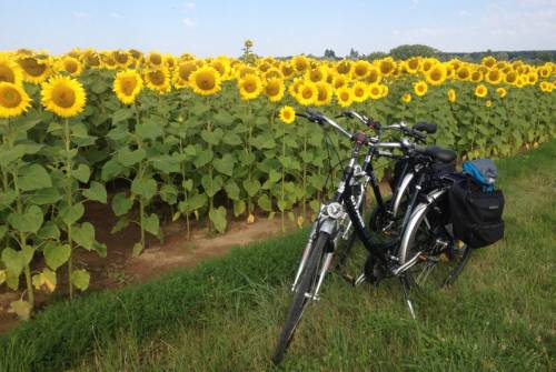 tourhub | UTracks | Classic Loire Valley by Bike | LVB