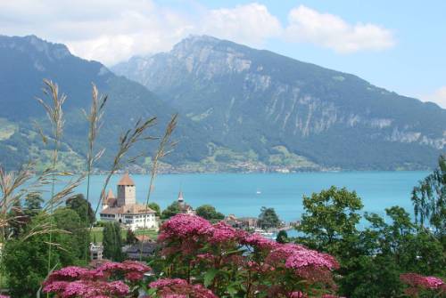 tourhub | UTracks | Swiss Lakes Cycle 