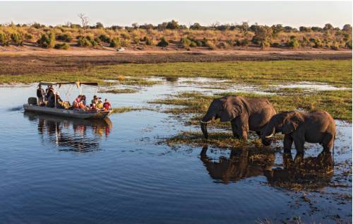 tourhub | World Expeditions | Botswana Delta and Wildlife Explorer | BDW