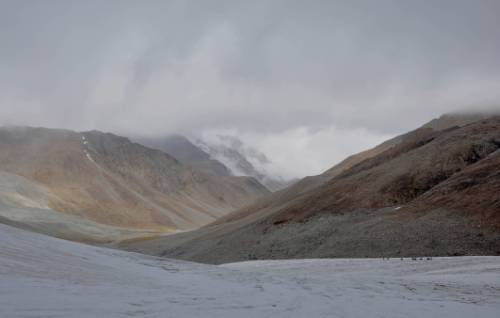 tourhub | World Expeditions | Remote Ladakh - Snia Valley and Lasermo La 