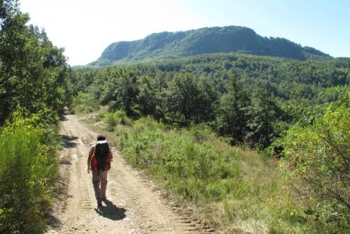 tourhub | UTracks | St Francis Way: Rieti to Rome 