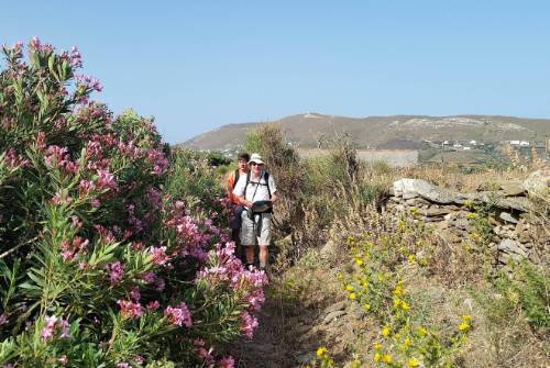 tourhub | UTracks | Andros Trail Self Guided Walk 