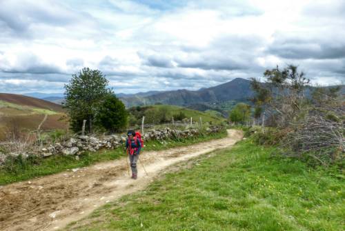 tourhub | UTracks | Camino - Pilgrims and Paradors 