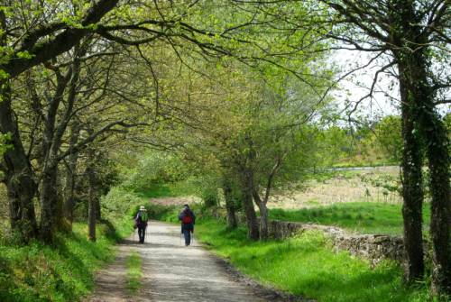 tourhub | UTracks | Camino - Pilgrims and Paradors 