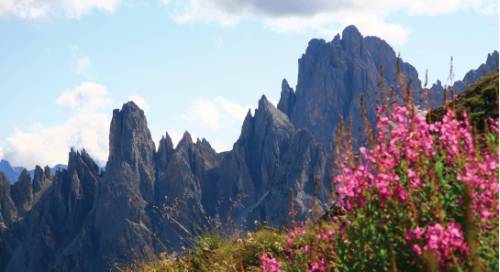 tourhub | Walkers' Britain | Highlights of the Dolomites 