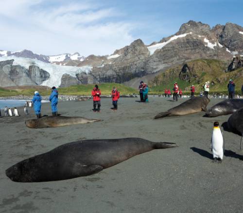 tourhub | World Expeditions | Antarctica, South Georgia & Falkland Islands Awakening 