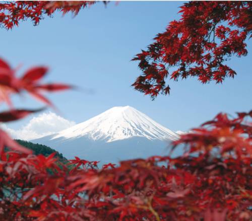 tourhub | World Expeditions | Backroads of Japan | BOJ