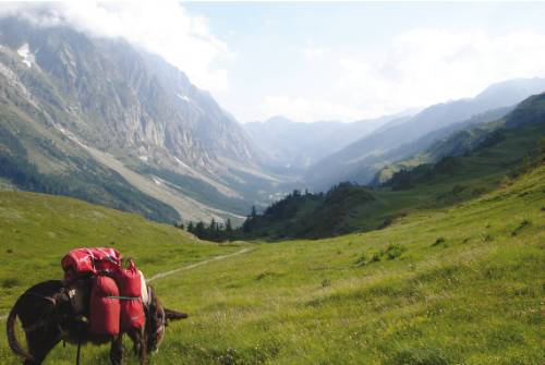 tourhub | UTracks | Mont Blanc Encompassed Hike 