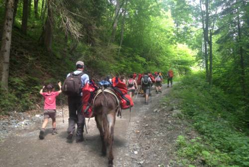 tourhub | UTracks | Mont Blanc Family Adventure 