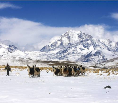 tourhub | World Expeditions | Summits of Bolivia | SOB