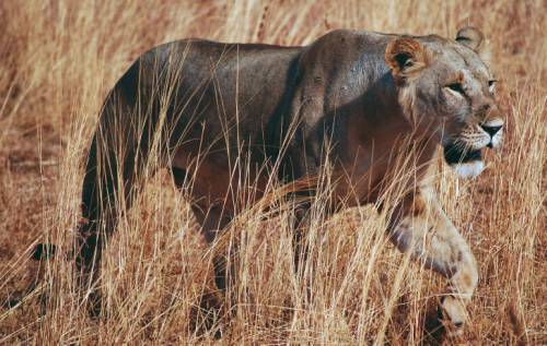 tourhub | World Expeditions | Northern Tanzania Circuit 