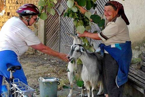 tourhub | UTracks | Balkan Mountains Cycle 