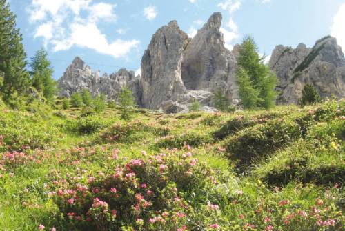 tourhub | UTracks | Dolomites Guided Hike 