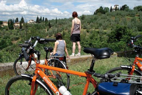 tourhub | UTracks | Cycle Pisa to Florence | CPF